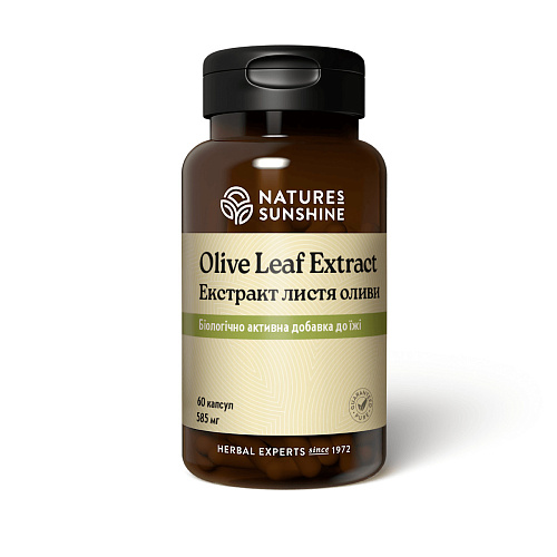 Экстракт листьев оливы (Olive Leaf Extract)