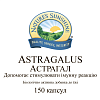 Астрагал (Astragalus)