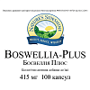 Босвеллия Плюс (Boswellia Plus)