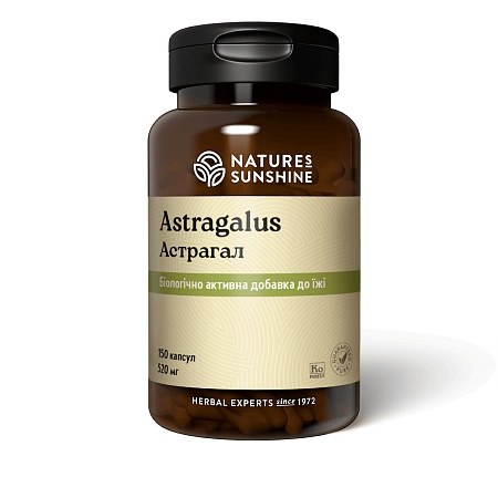 Астрагал (Astragalus)