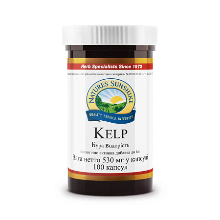 Бурая водоросль (Kelp)