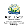 Червона конюшина (Red Clover)